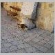 Jerusalem_56.JPG
